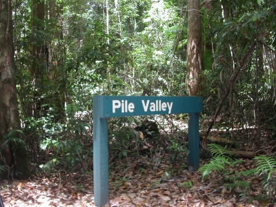 Pile Valley